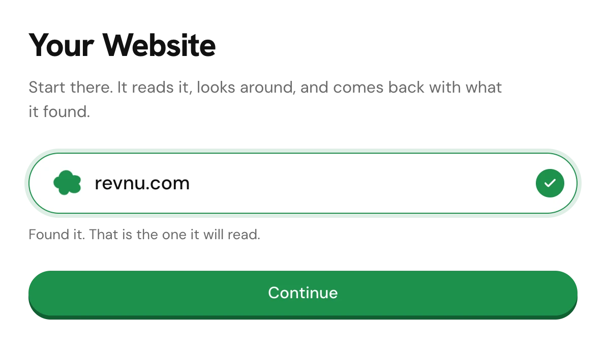 The Your Website screen with a domain typed in and the Continue button